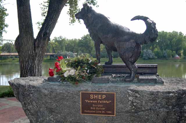 Shep the dog statue